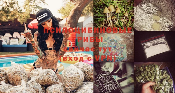синтетический гашиш Костерёво